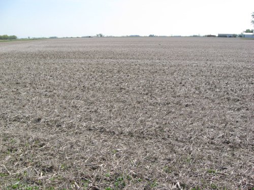 Property photo 3 - 172 Acres Offered in 3 Tracts - Prime Farmland